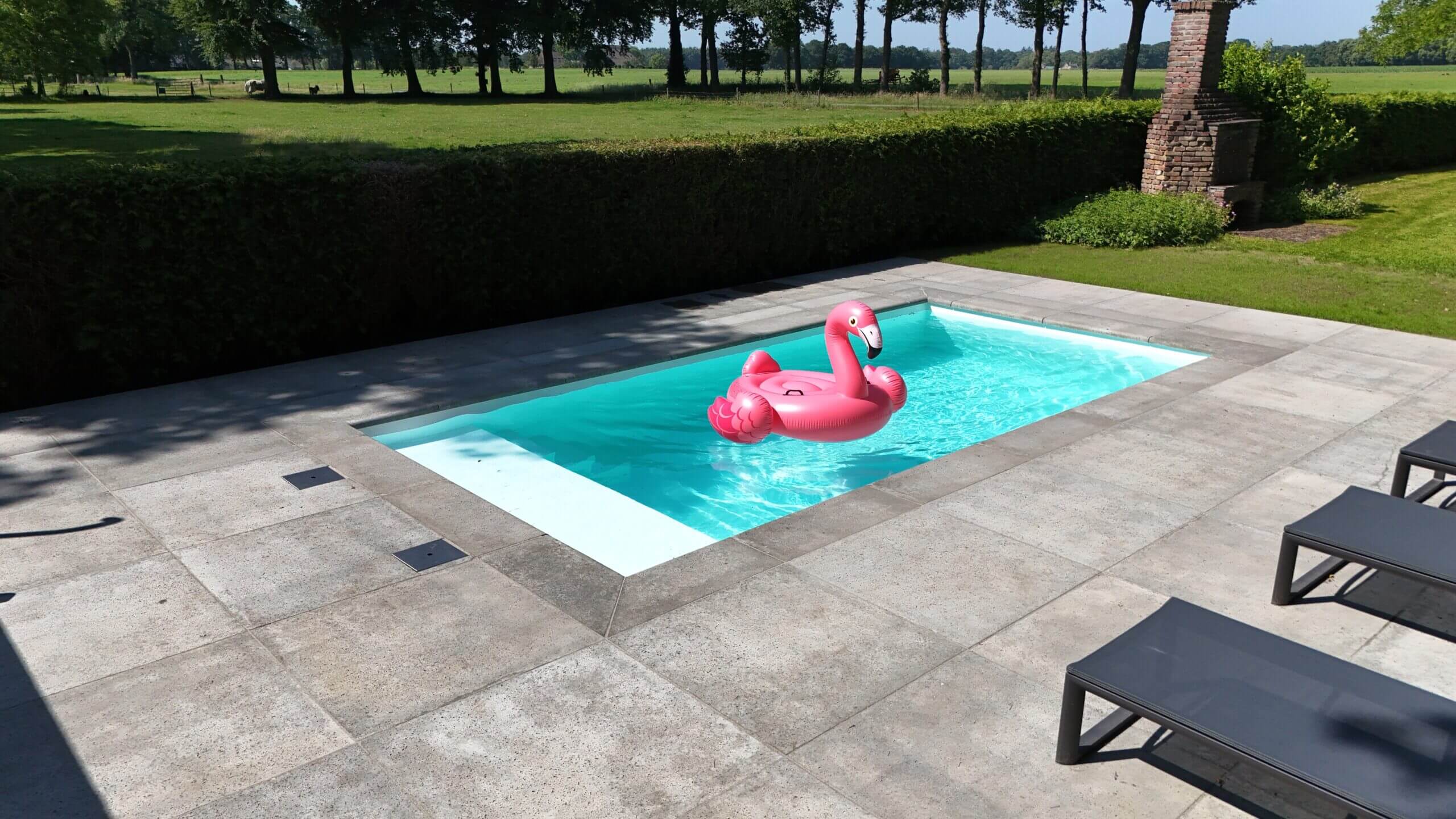 Modern wit zwembad in Okkenbroek